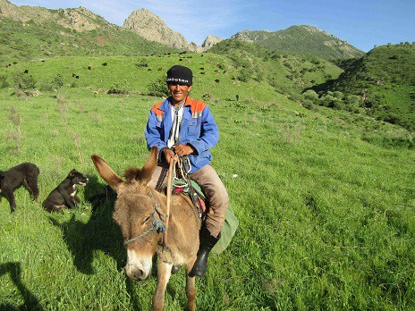 Mann auf Esel in Tadschikistan
