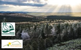 schöner wald im Erzgebirge